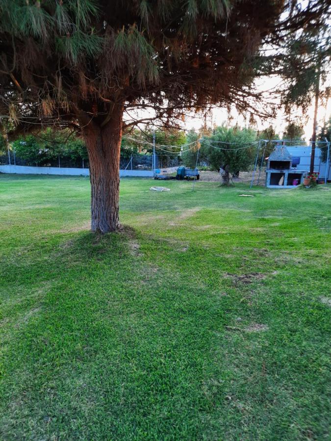 Apartment Anestis Toroni