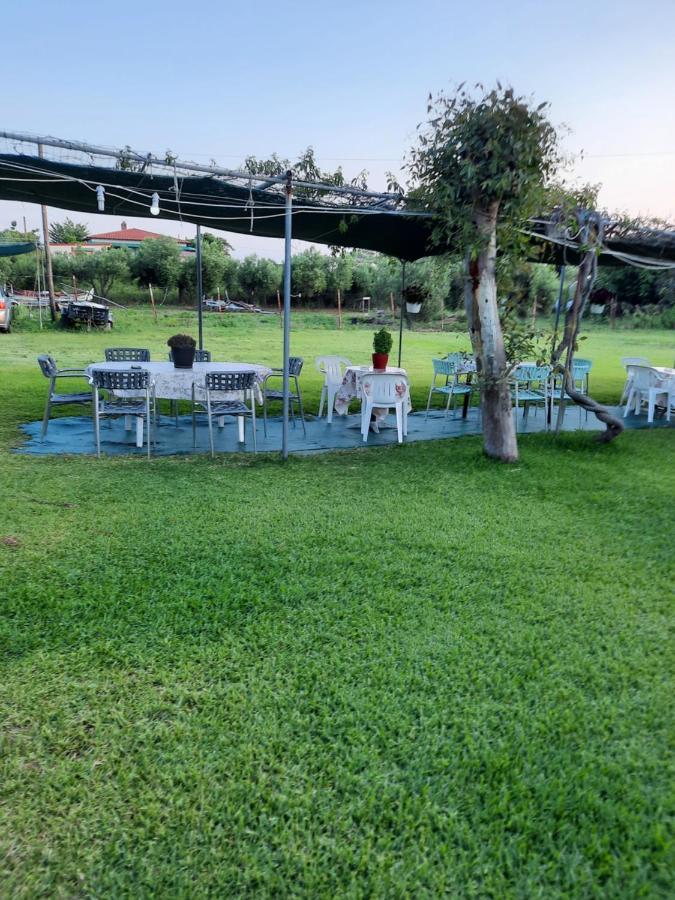 Apartment Anestis *