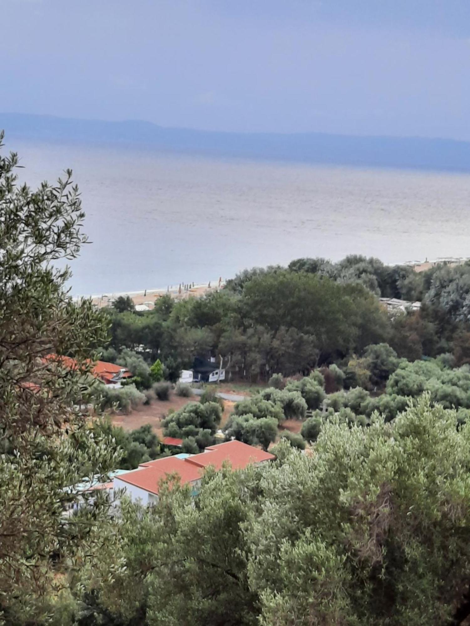 Apartment Anestis