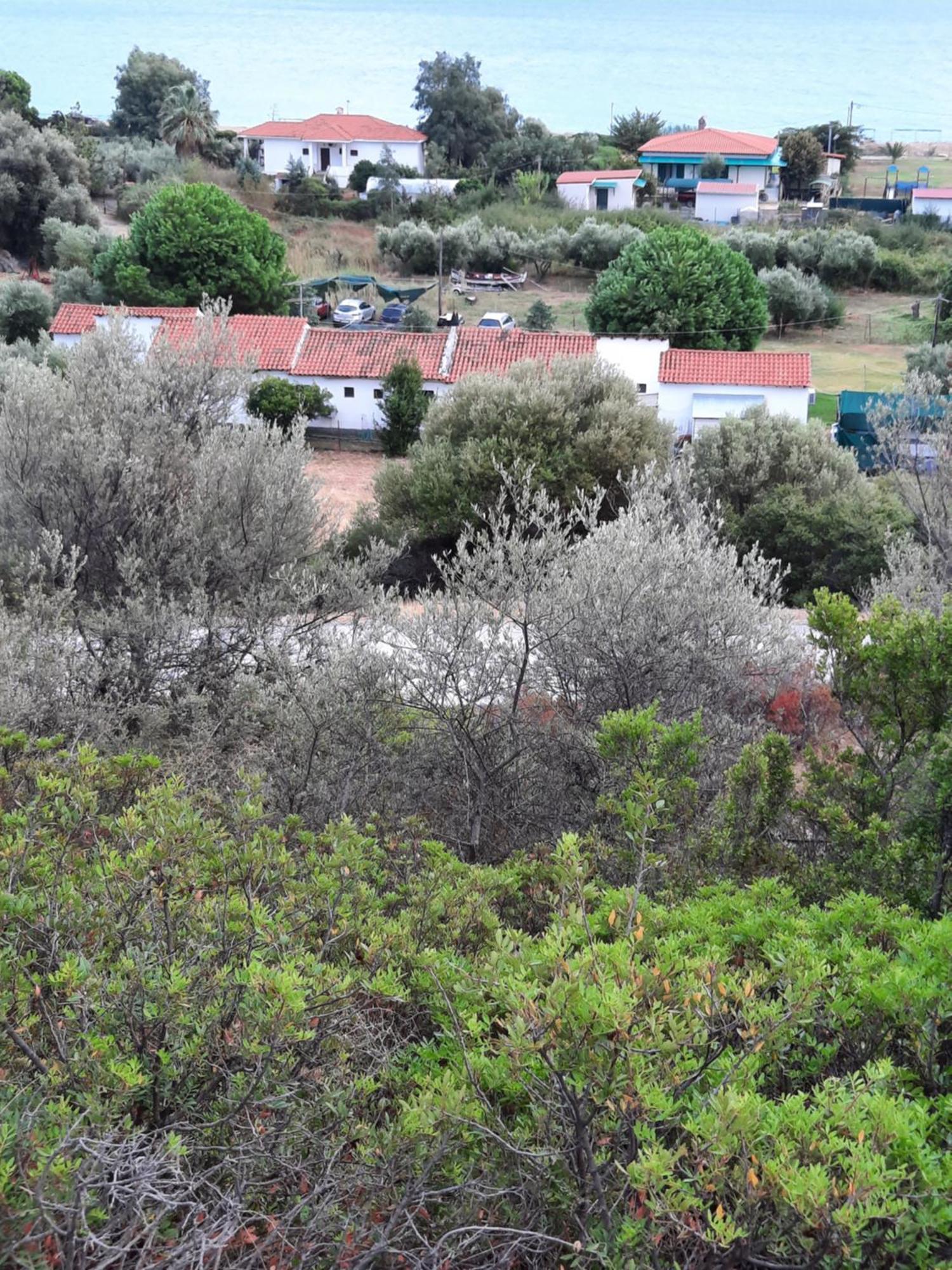 Apartment Anestis